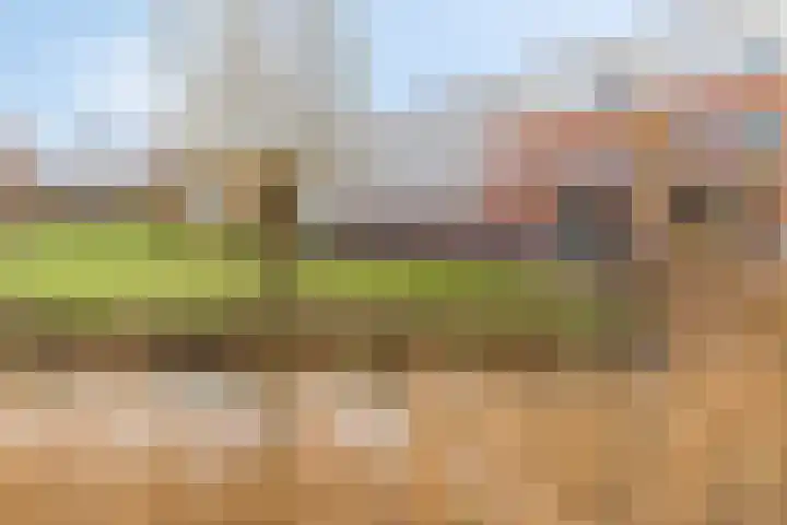 Donsvlinder 55 Utrecht thumbnail 53