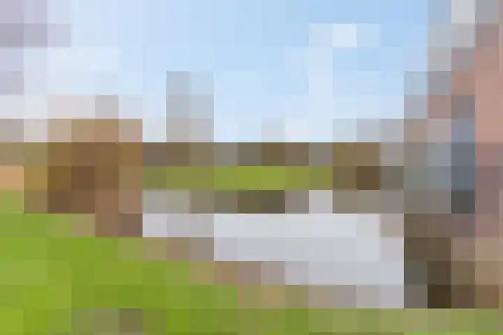 Donsvlinder 55 Utrecht thumbnail 54