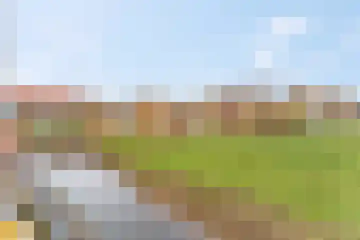 Donsvlinder 55 Utrecht thumbnail 55