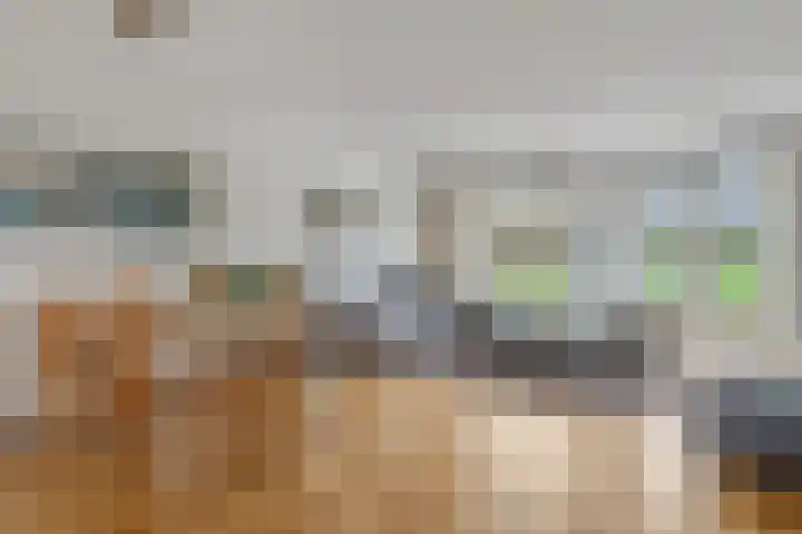 Donsvlinder 55 Utrecht thumbnail 6