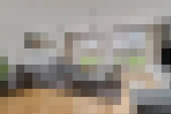 Donsvlinder 55 Utrecht thumbnail 7