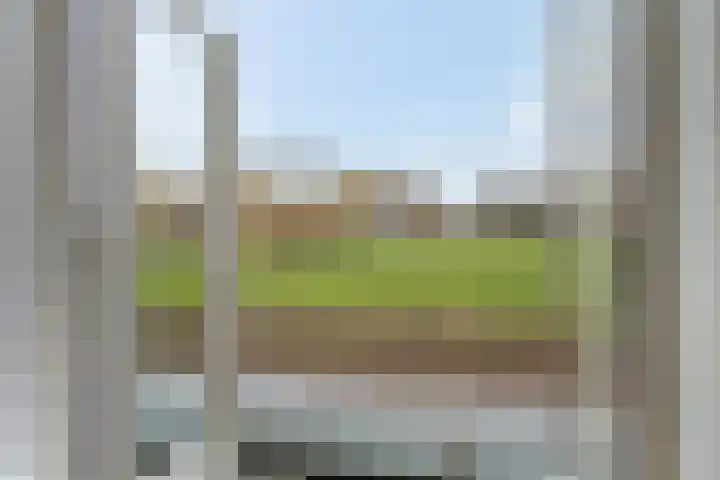 Donsvlinder 55 Utrecht thumbnail 8