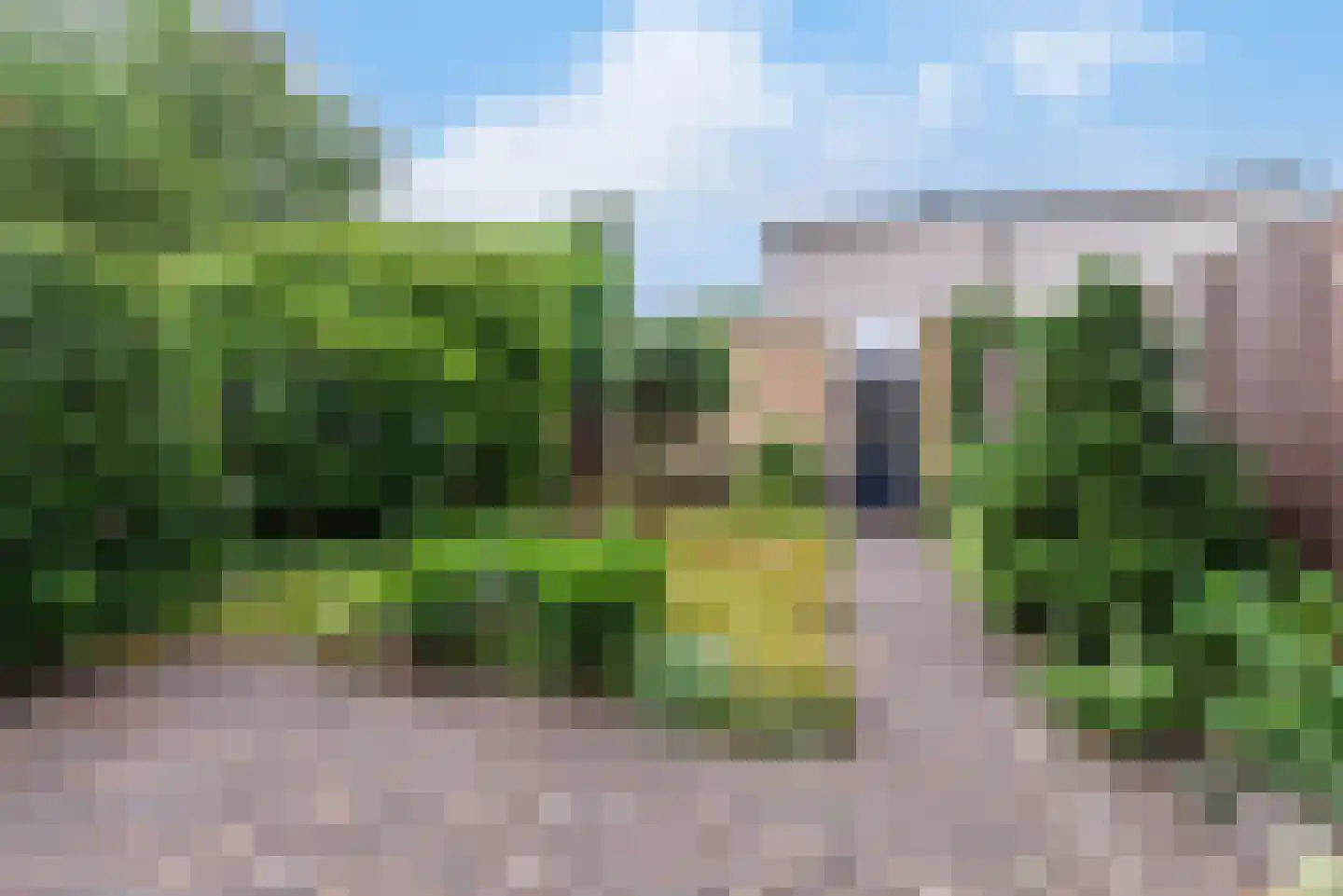Donsvlinderstraat 37 Veenendaal thumbnail 36
