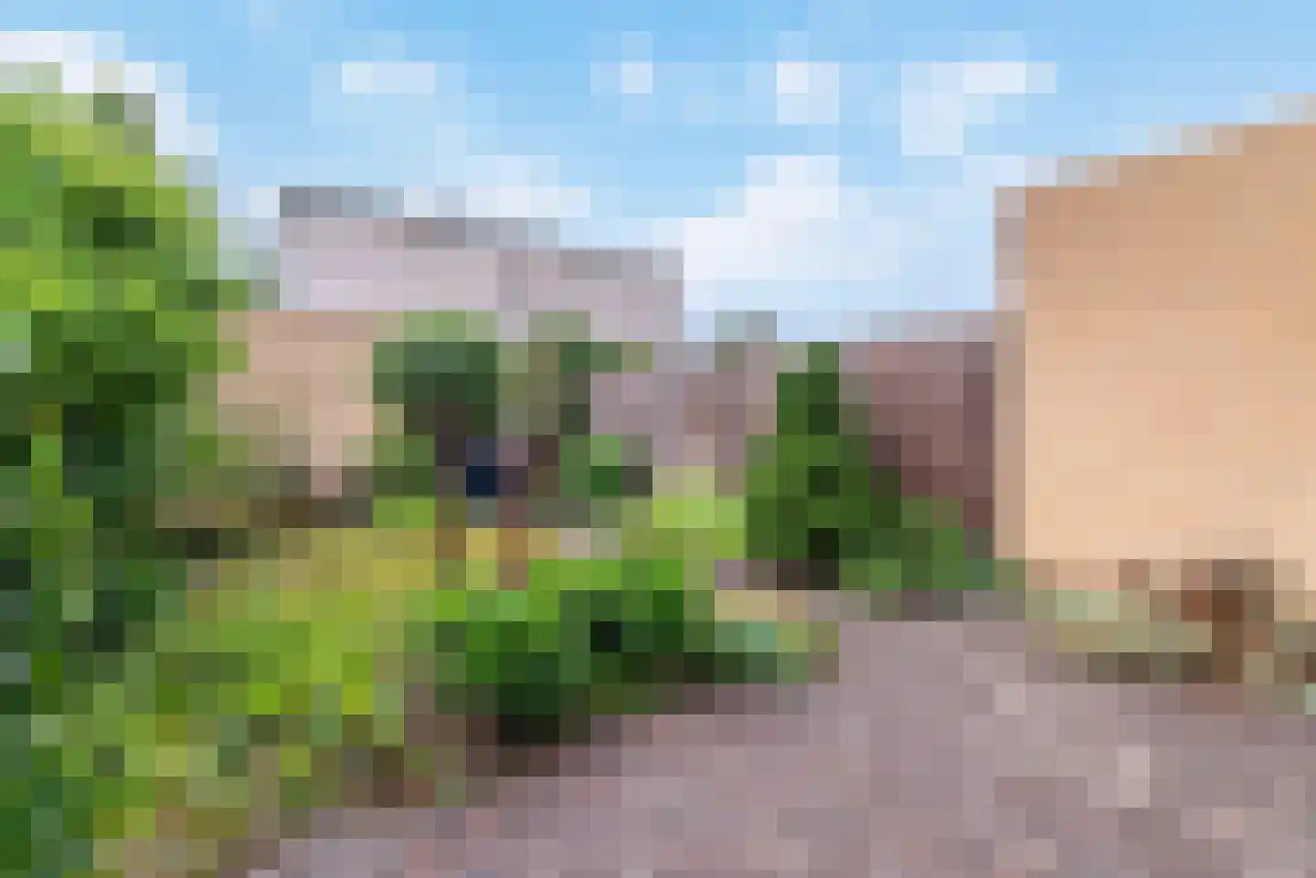 Donsvlinderstraat 37 Veenendaal thumbnail 39