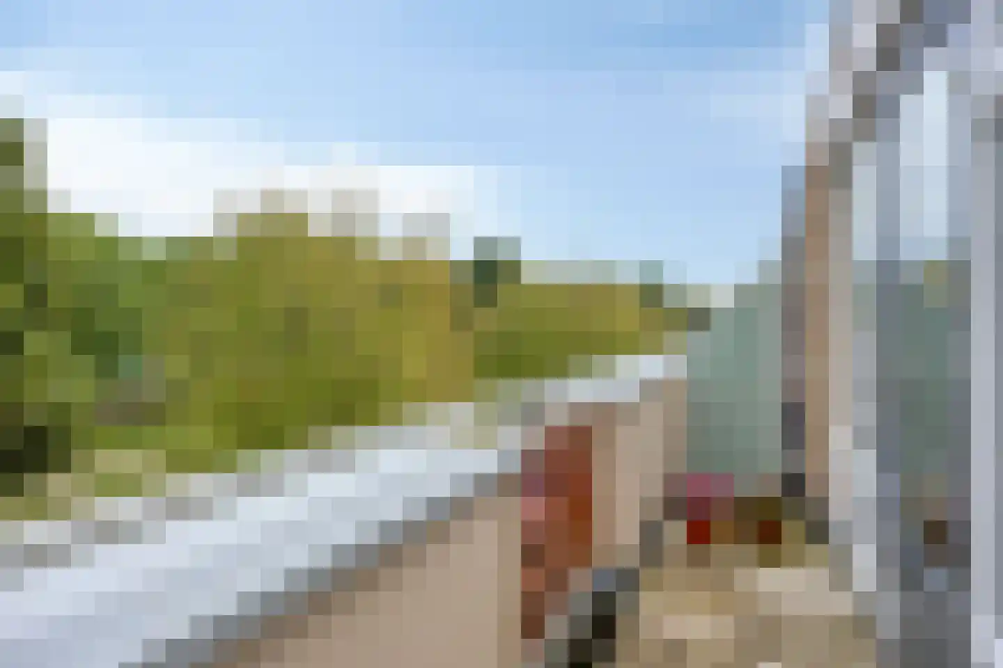 Donsvlinderstraat 45 Veenendaal thumbnail 27