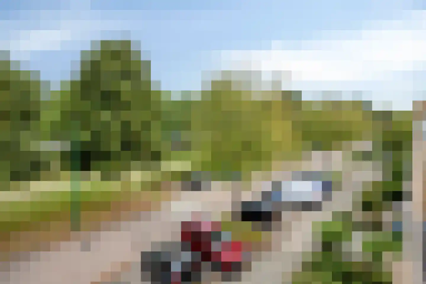 Donsvlinderstraat 45 Veenendaal thumbnail 28