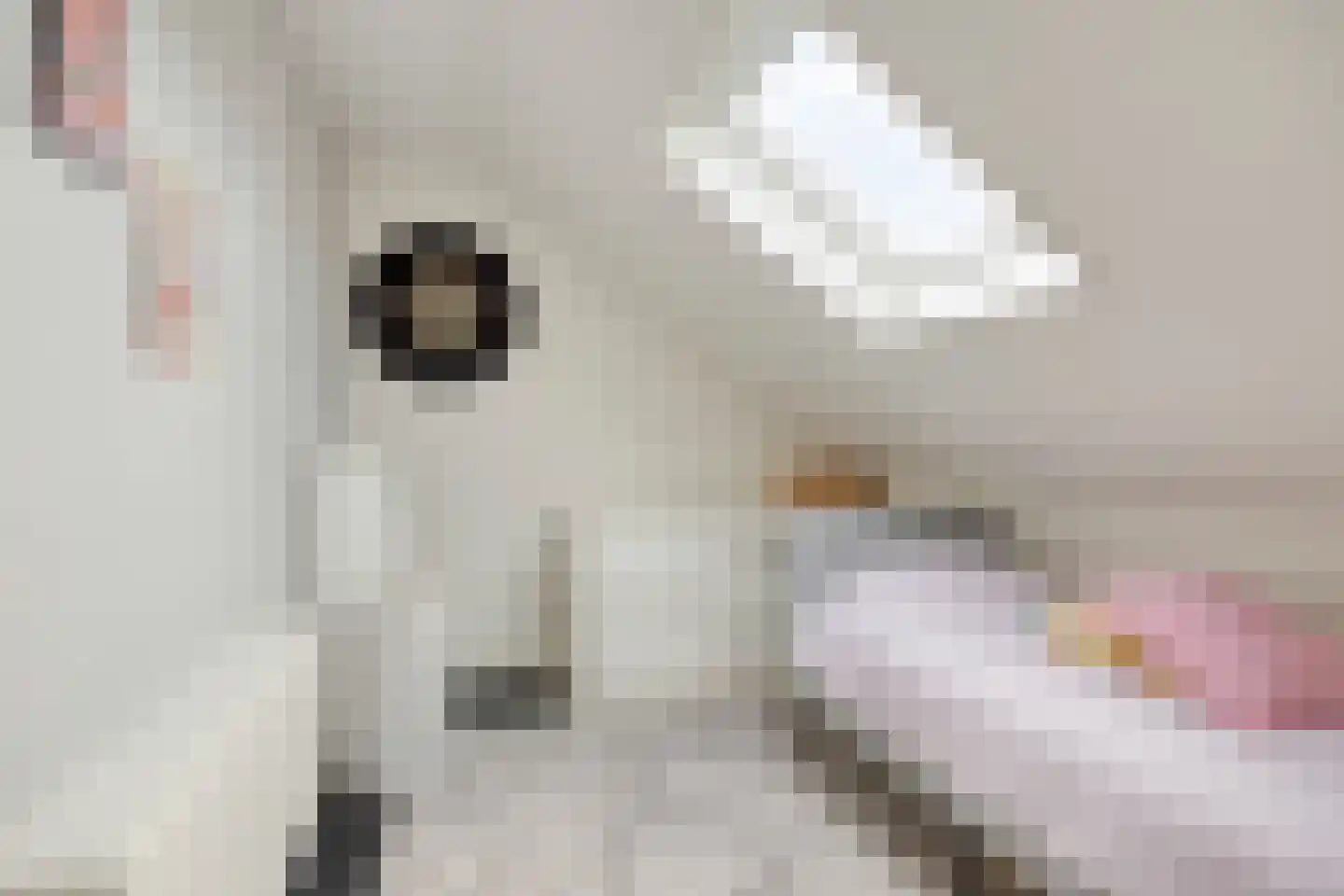 Donsvlinderstraat 45 Veenendaal thumbnail 30