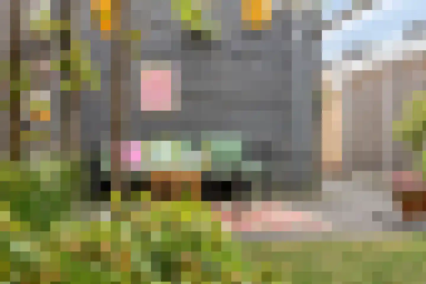 Donsvlinderstraat 45 Veenendaal thumbnail 33