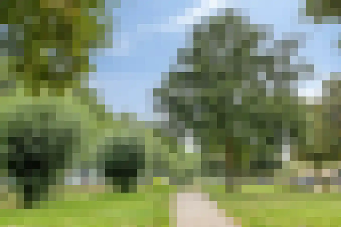 Donsvlinderstraat 45 Veenendaal thumbnail 36