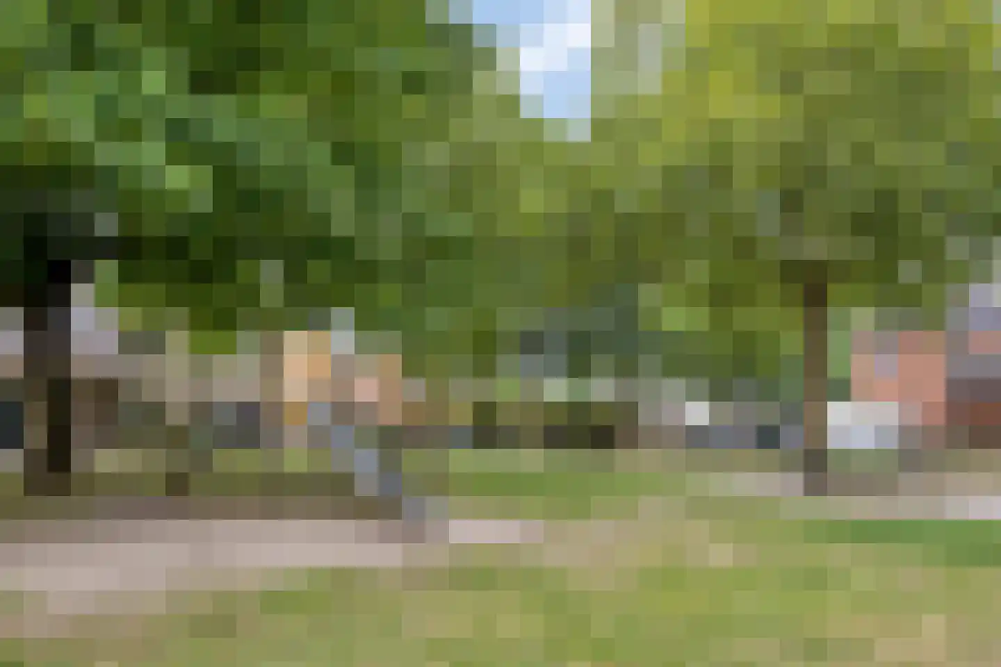 Donsvlinderstraat 45 Veenendaal thumbnail 37