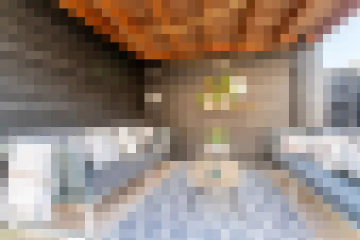 Donsvlinderstraat 63 Veenendaal thumbnail 44