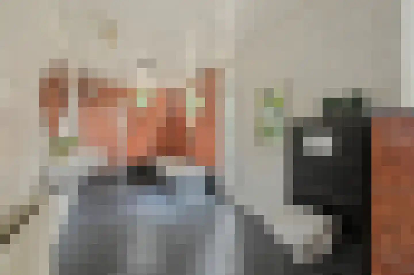 Donze Visserstraat 107 Terneuzen thumbnail 14