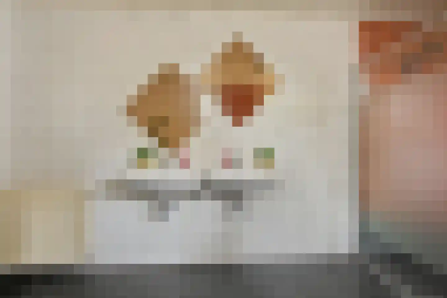 Donze Visserstraat 107 Terneuzen thumbnail 16