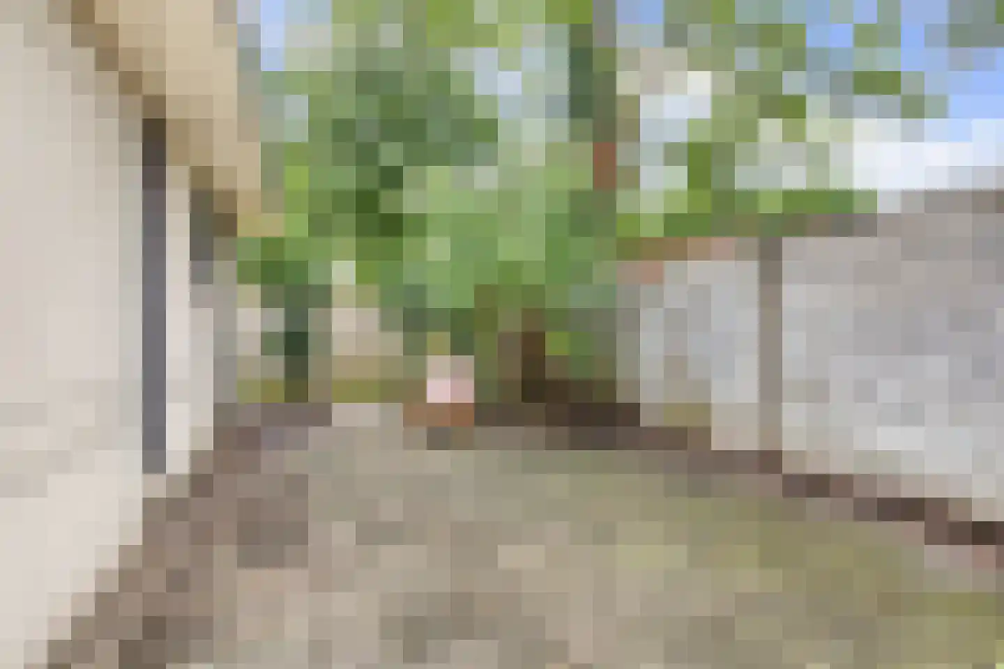 Donze Visserstraat 107 Terneuzen thumbnail 23