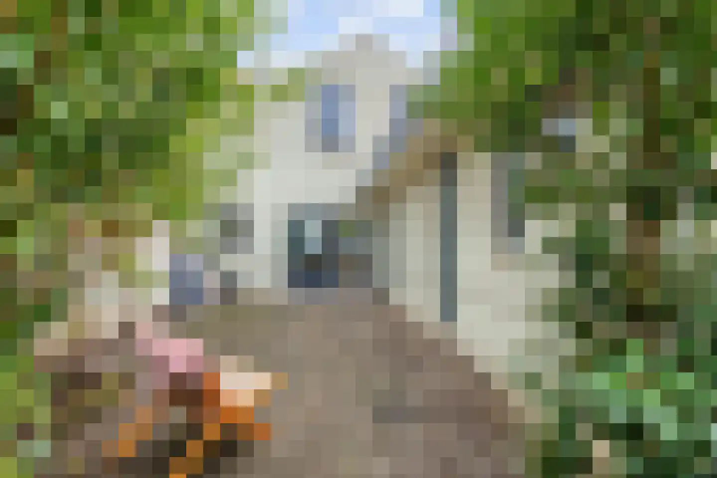 Donze Visserstraat 107 Terneuzen thumbnail 24