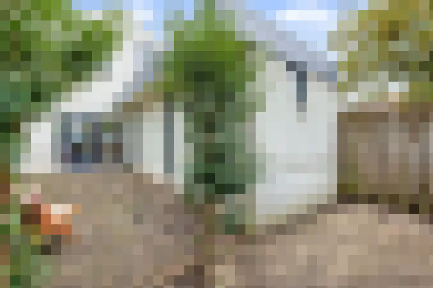 Donze Visserstraat 107 Terneuzen thumbnail 25