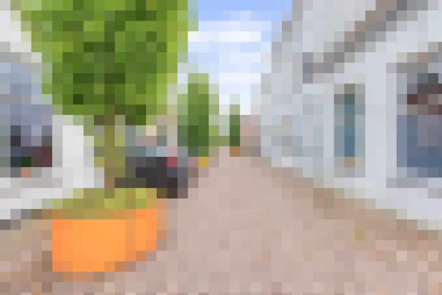 Donze Visserstraat 107 Terneuzen thumbnail 26