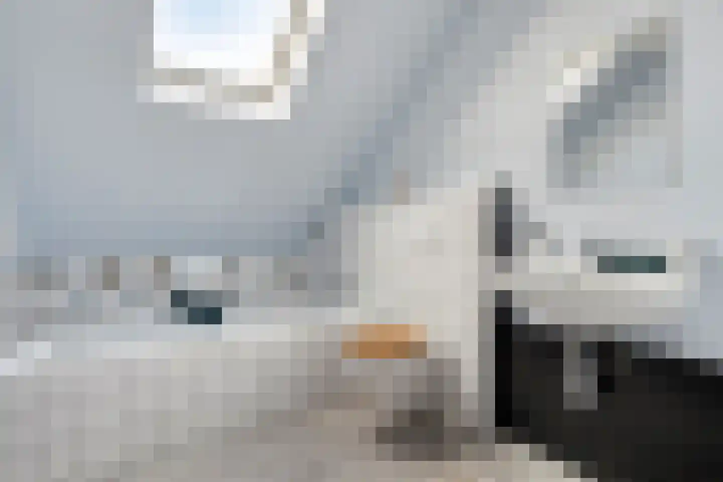Donze Visserstraat 108 Terneuzen thumbnail 15