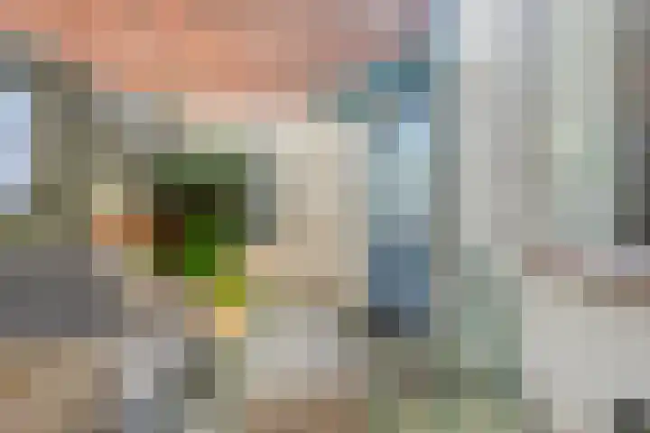Donze Visserstraat 11 Terneuzen thumbnail 29