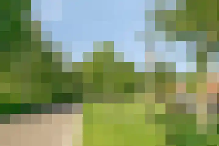 Donze Visserstraat 11 Terneuzen thumbnail 31