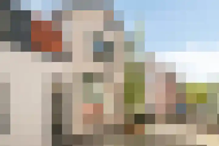 Donze Visserstraat 11 Terneuzen thumbnail 6