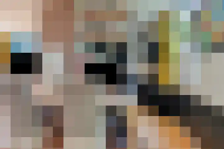 Donze Visserstraat 18 Terneuzen thumbnail 12