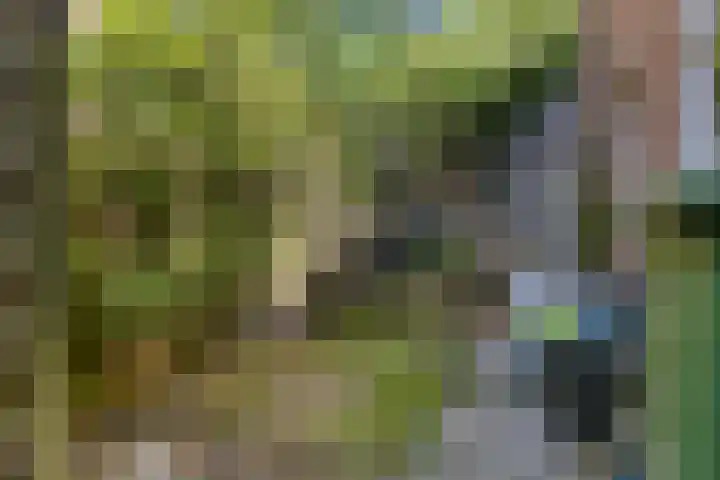 Donze Visserstraat 18 Terneuzen thumbnail 20