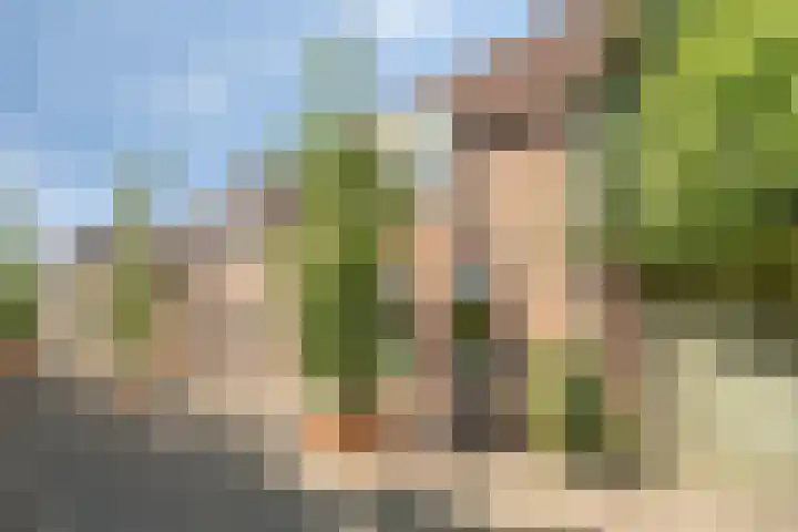 Donze Visserstraat 18 Terneuzen thumbnail 22
