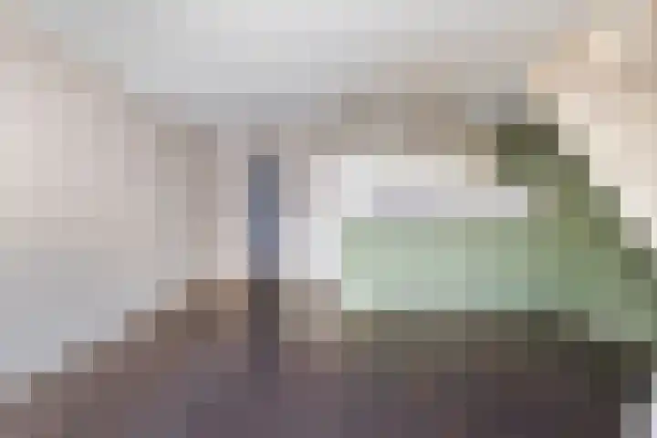 Donze Visserstraat 50 Terneuzen thumbnail 10