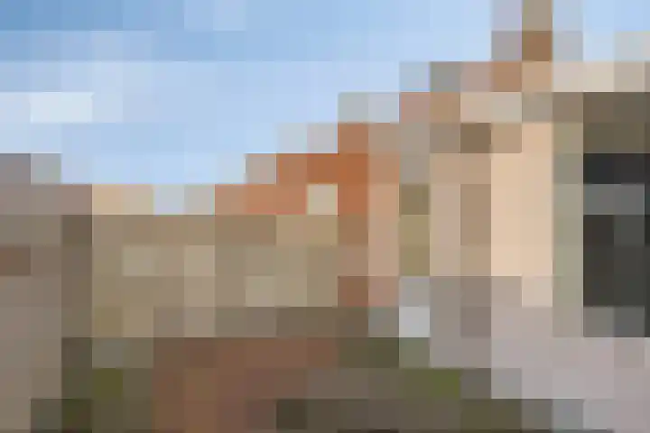 Donze Visserstraat 50 Terneuzen thumbnail 21