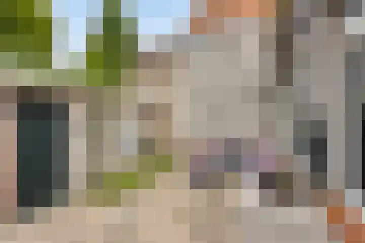 Donze Visserstraat 55 Terneuzen thumbnail 20