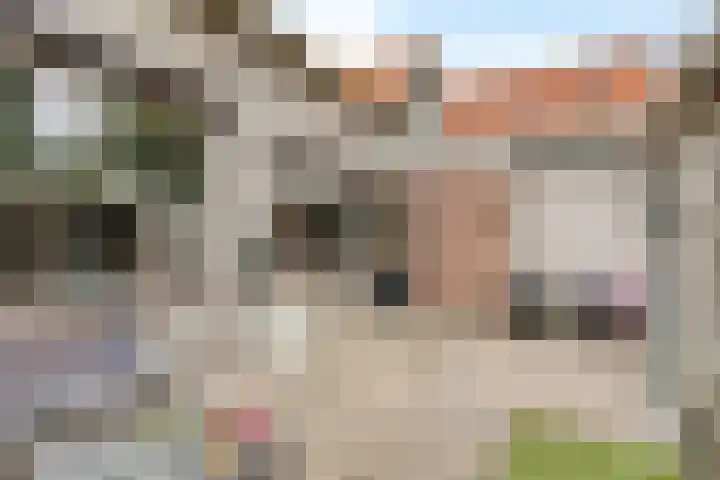 Donze Visserstraat 55 Terneuzen thumbnail 21