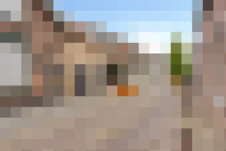 Donze Visserstraat 55 Terneuzen thumbnail 23