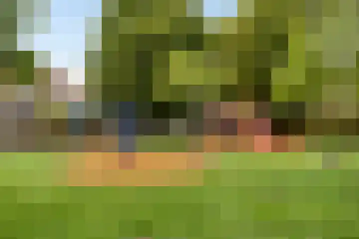 Donze Visserstraat 55 Terneuzen thumbnail 24