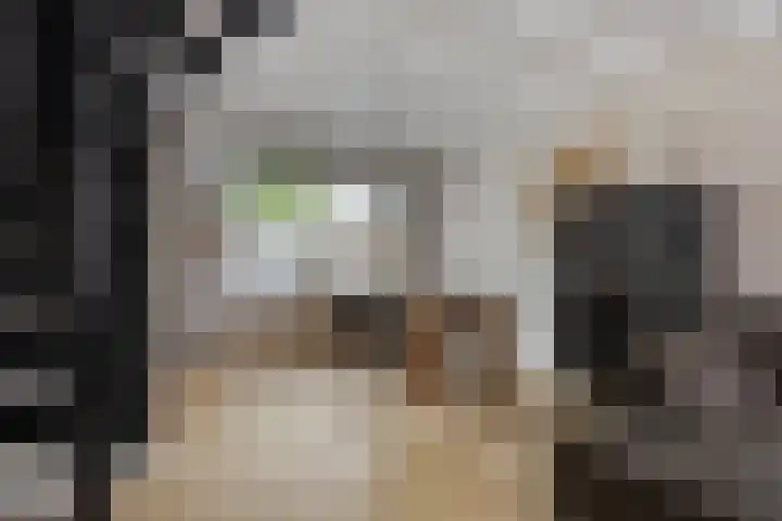 Donze Visserstraat 55 Terneuzen thumbnail 7