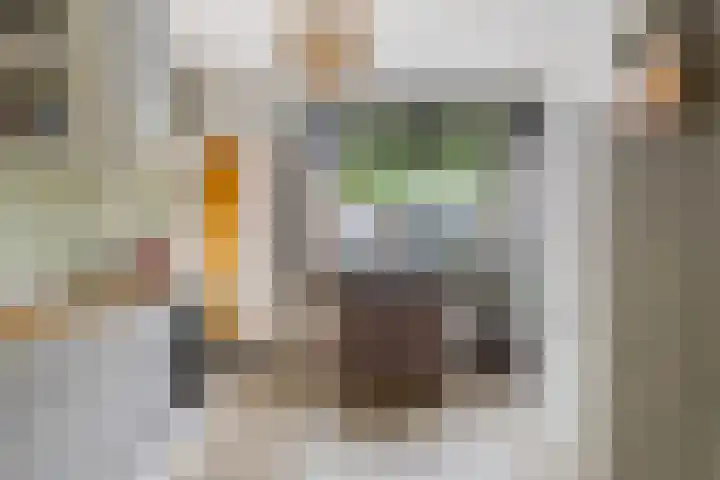 Donze Visserstraat 55 Terneuzen thumbnail 9