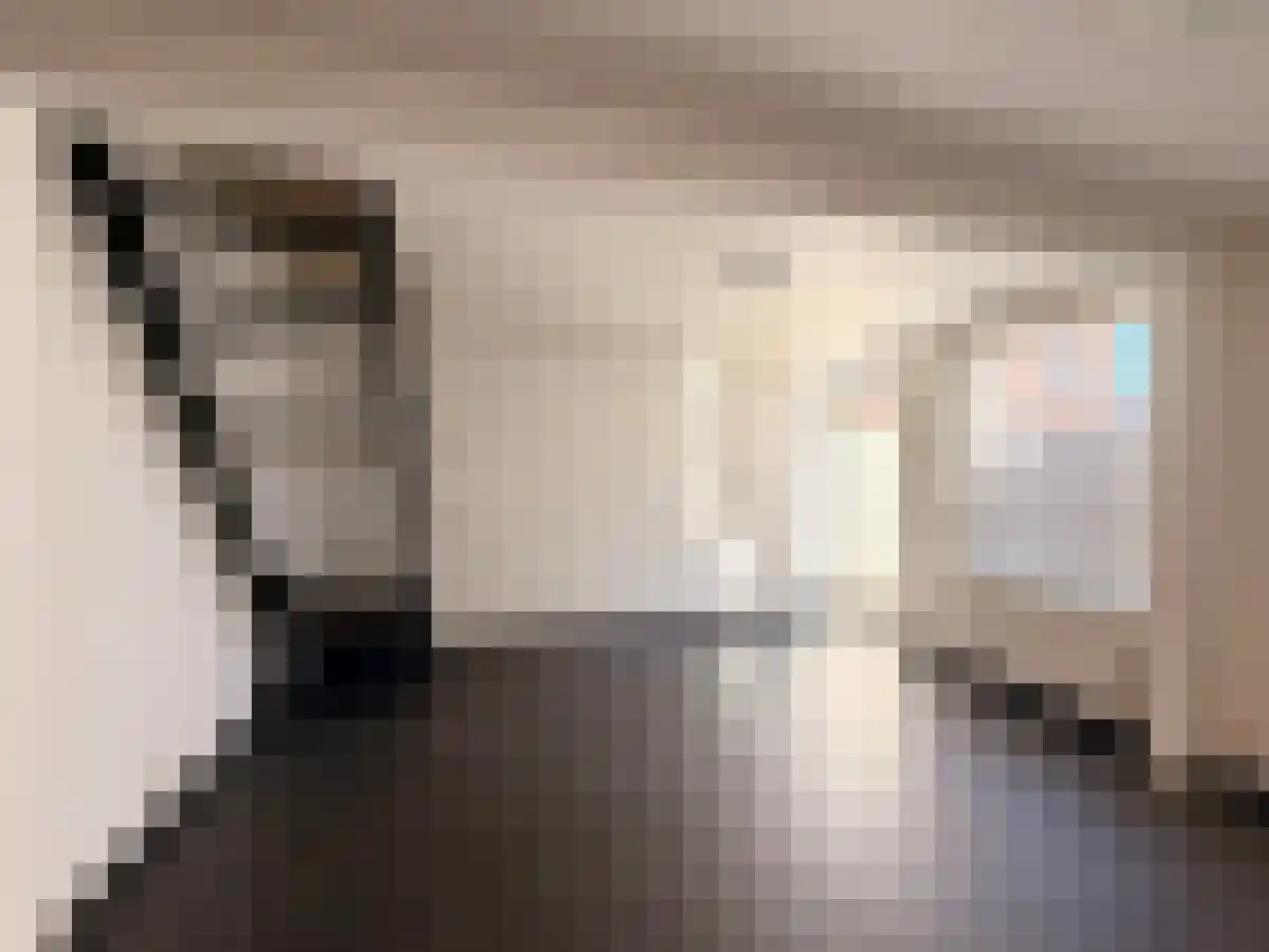Donze Visserstraat Terneuzen thumbnail 6
