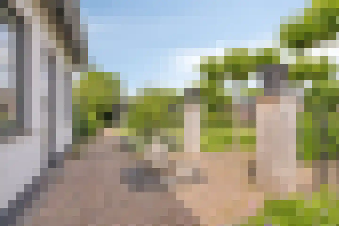Donzel 92 Nistelrode thumbnail 51