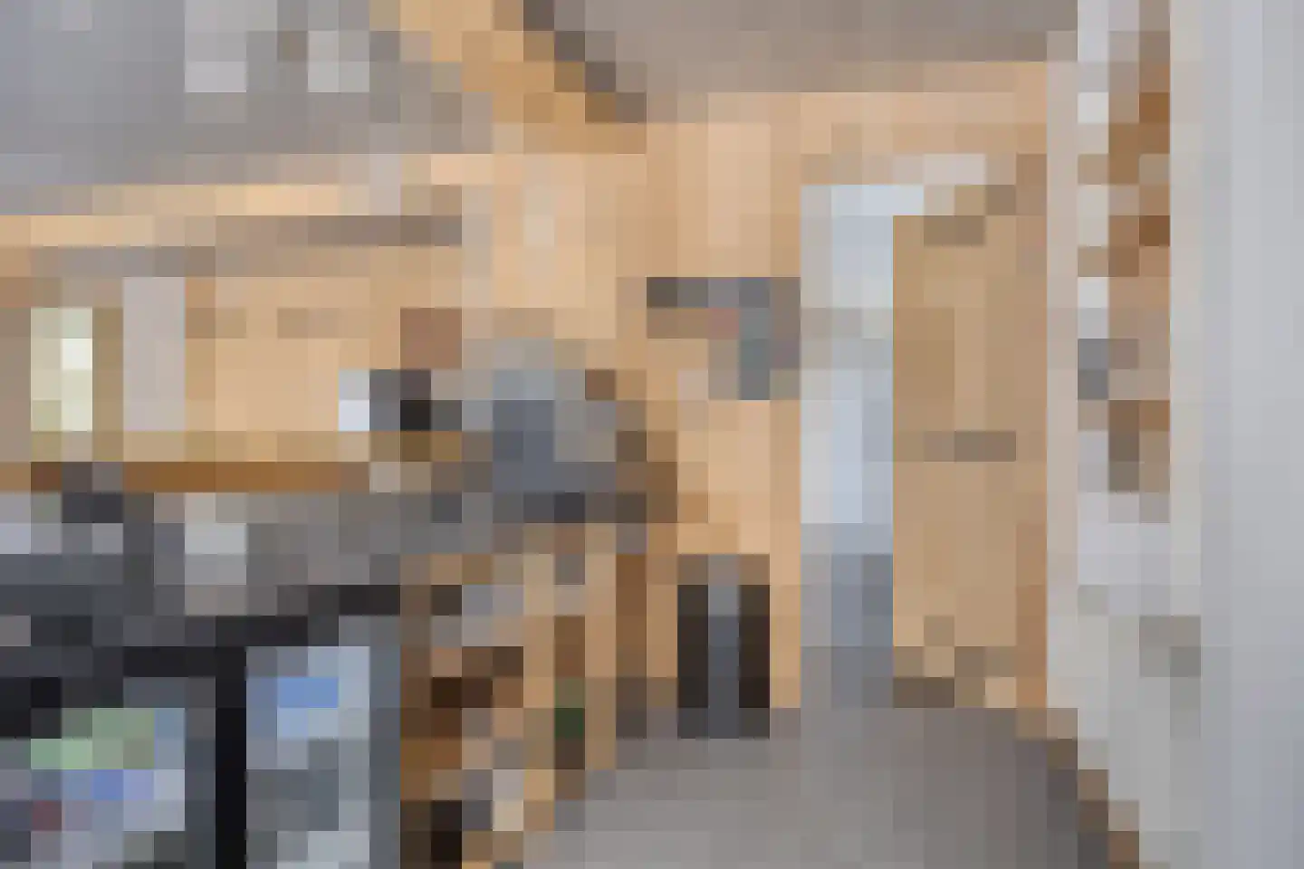 Donzel 92 Nistelrode thumbnail 61
