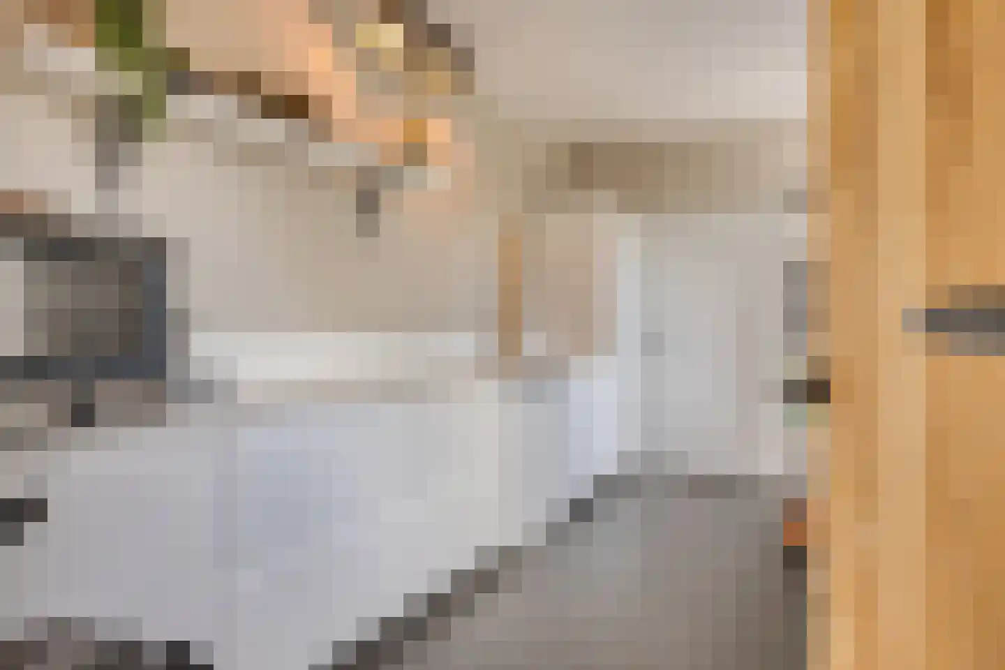 Donzel 92 Nistelrode thumbnail 63