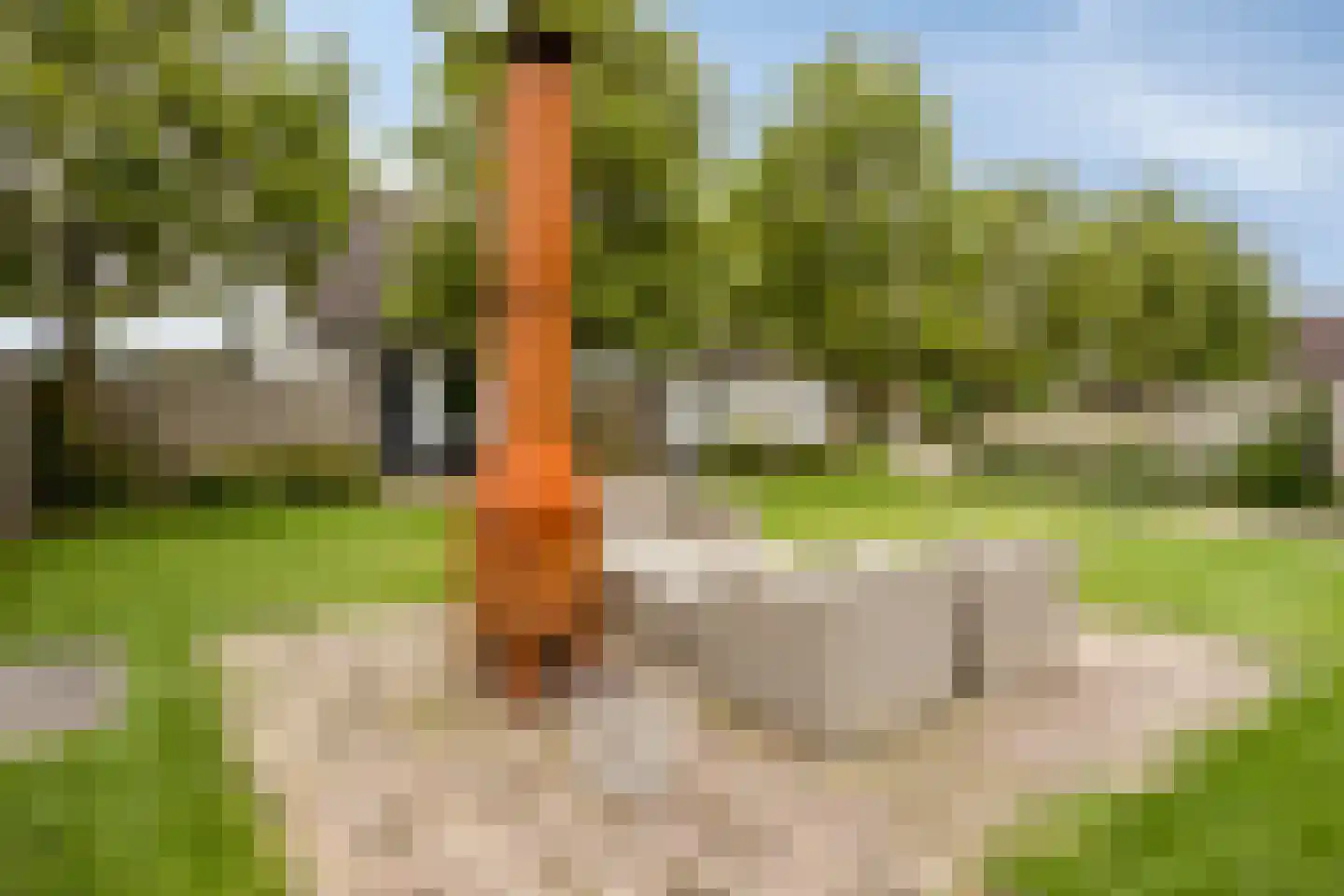 Donzel 92 Nistelrode thumbnail 76