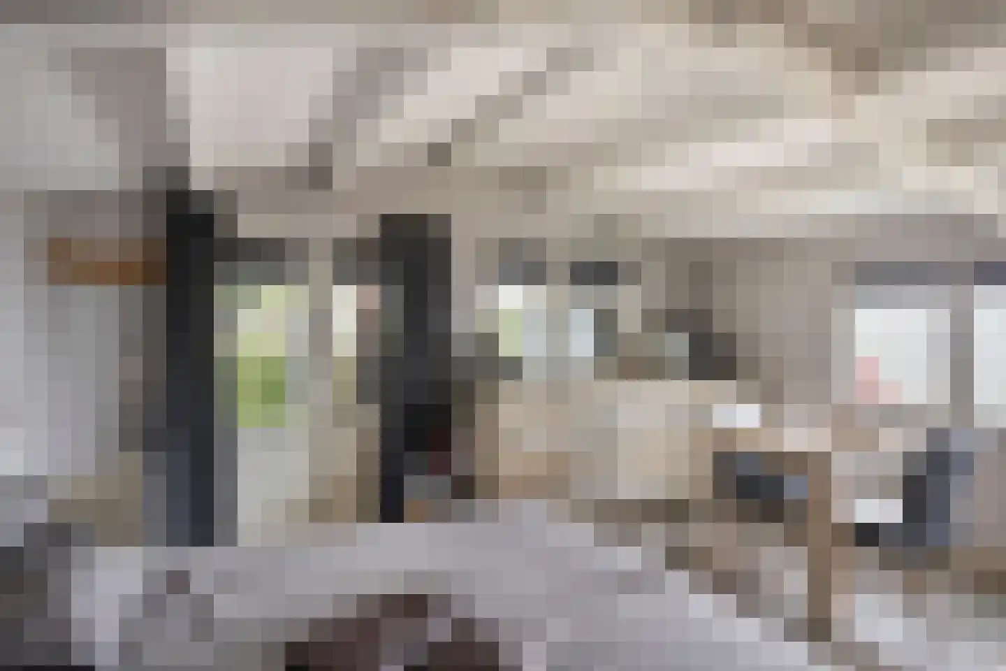 Donzel 92 Nistelrode thumbnail 80