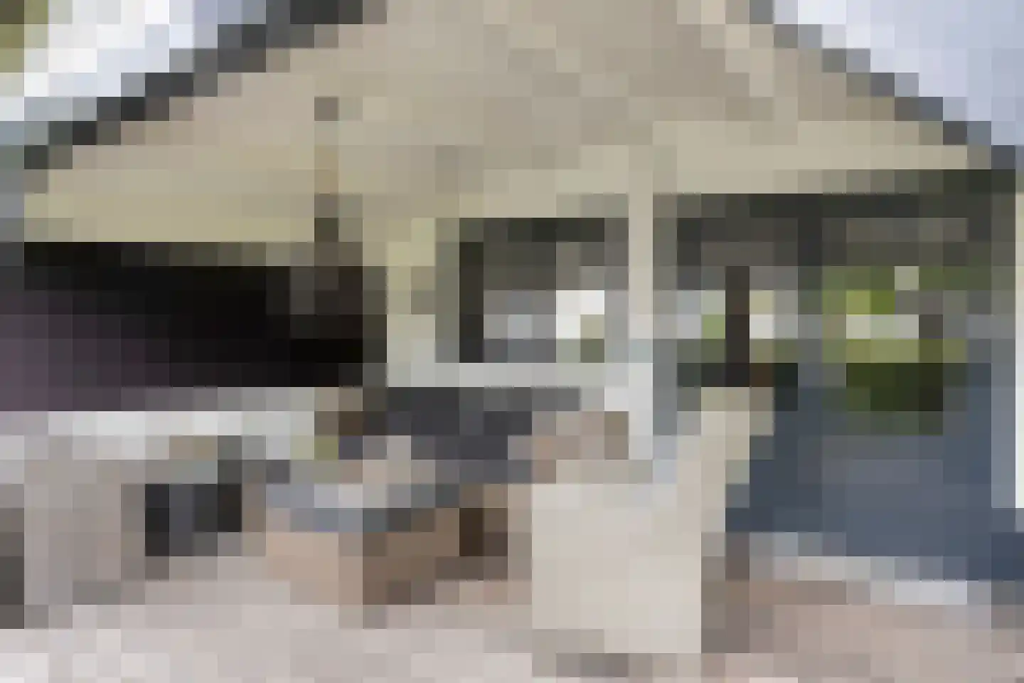 Donzel 92 Nistelrode thumbnail 83