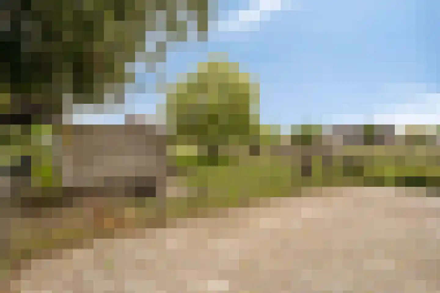 Donzel 92 Nistelrode thumbnail 87