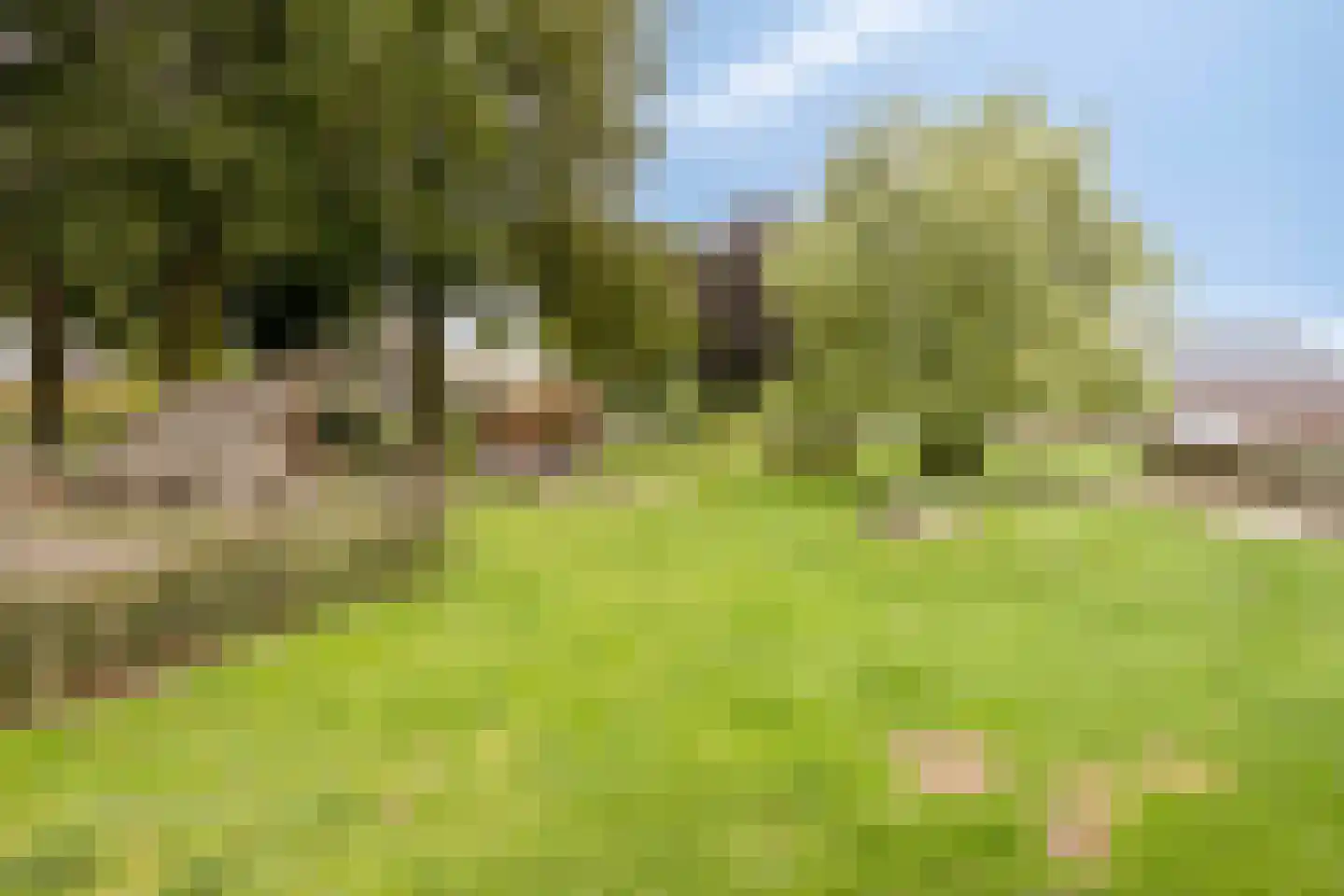 Donzel 92 Nistelrode thumbnail 88