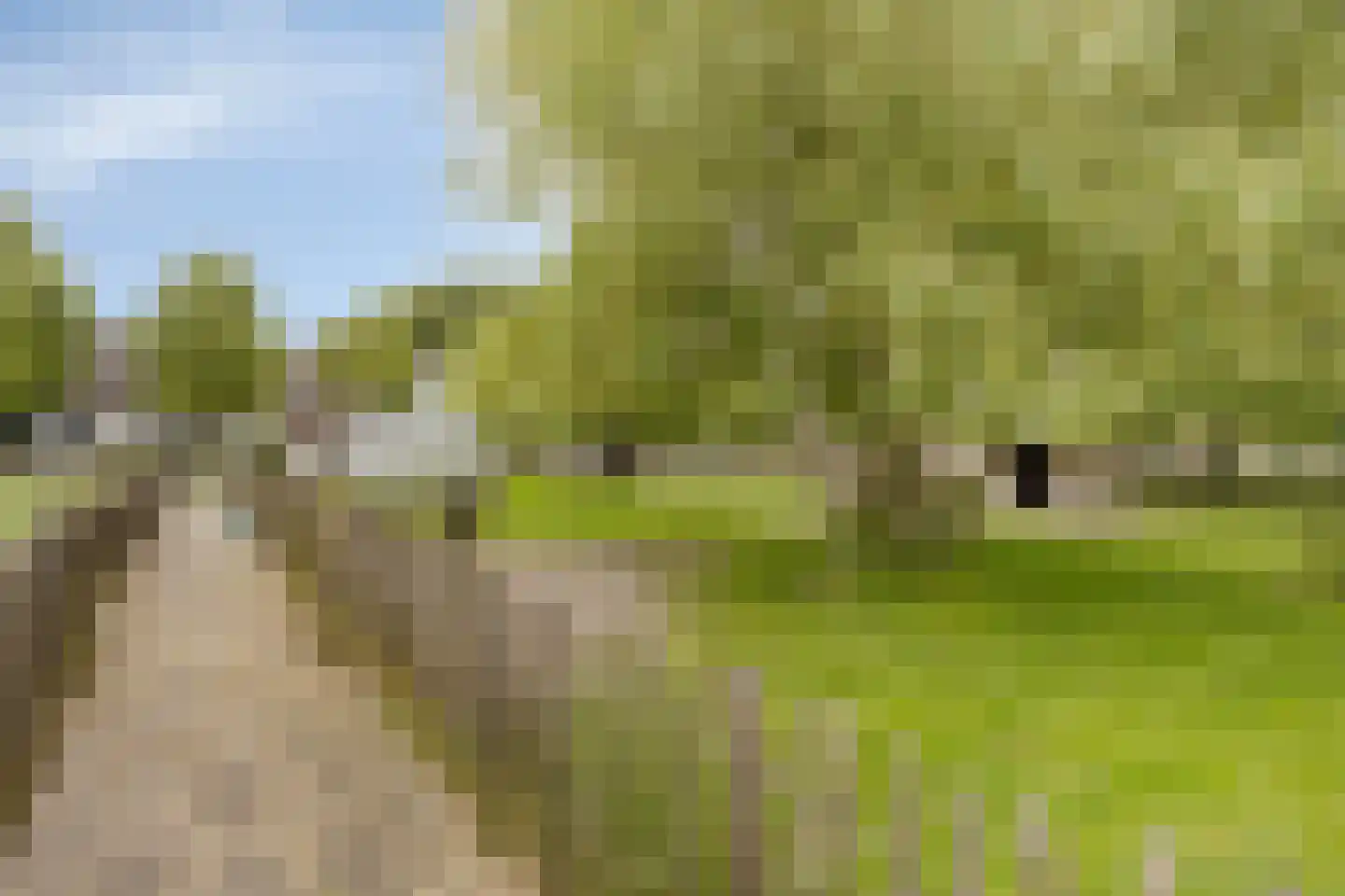 Donzel 92 Nistelrode thumbnail 90