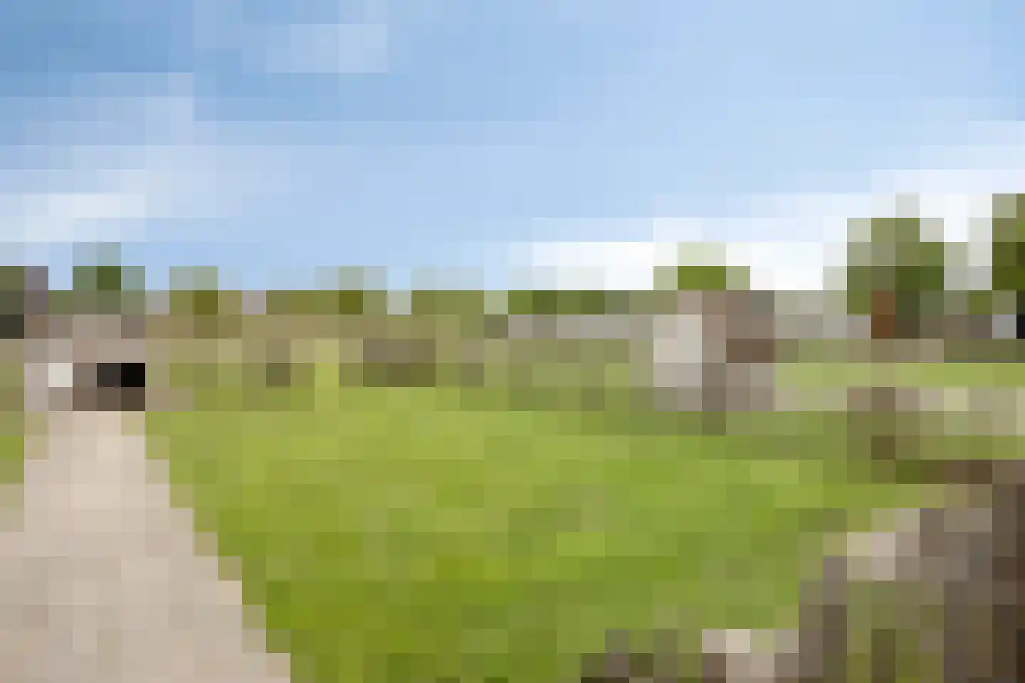 Donzel 92 Nistelrode thumbnail 91