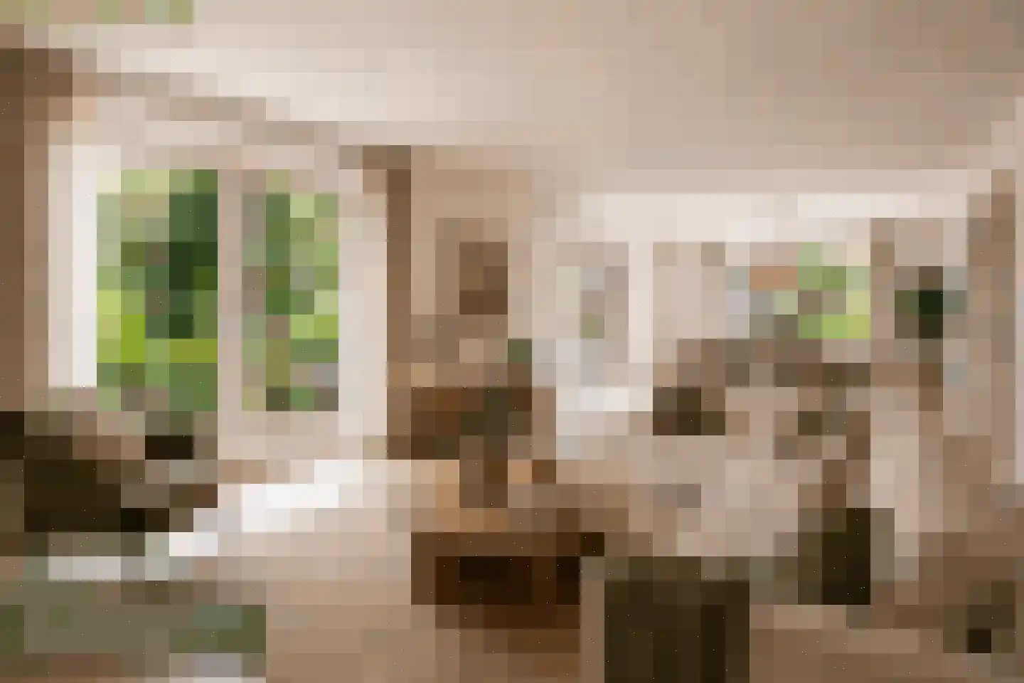 Dooitzen de Bildtstraat 7 St.-Jacobiparochie thumbnail 11
