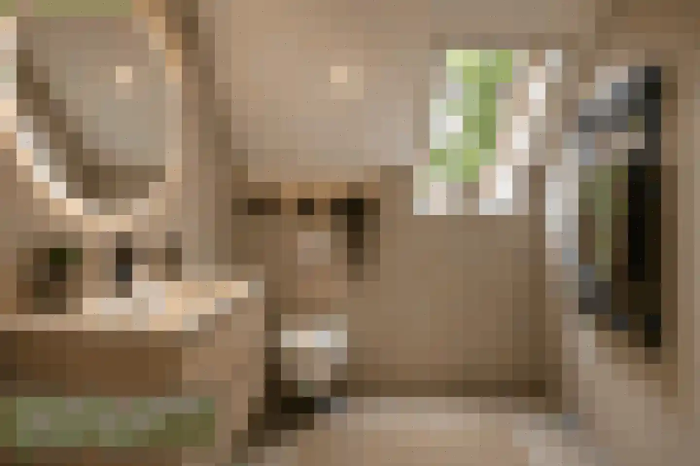 Dooitzen de Bildtstraat 7 St.-Jacobiparochie thumbnail 33