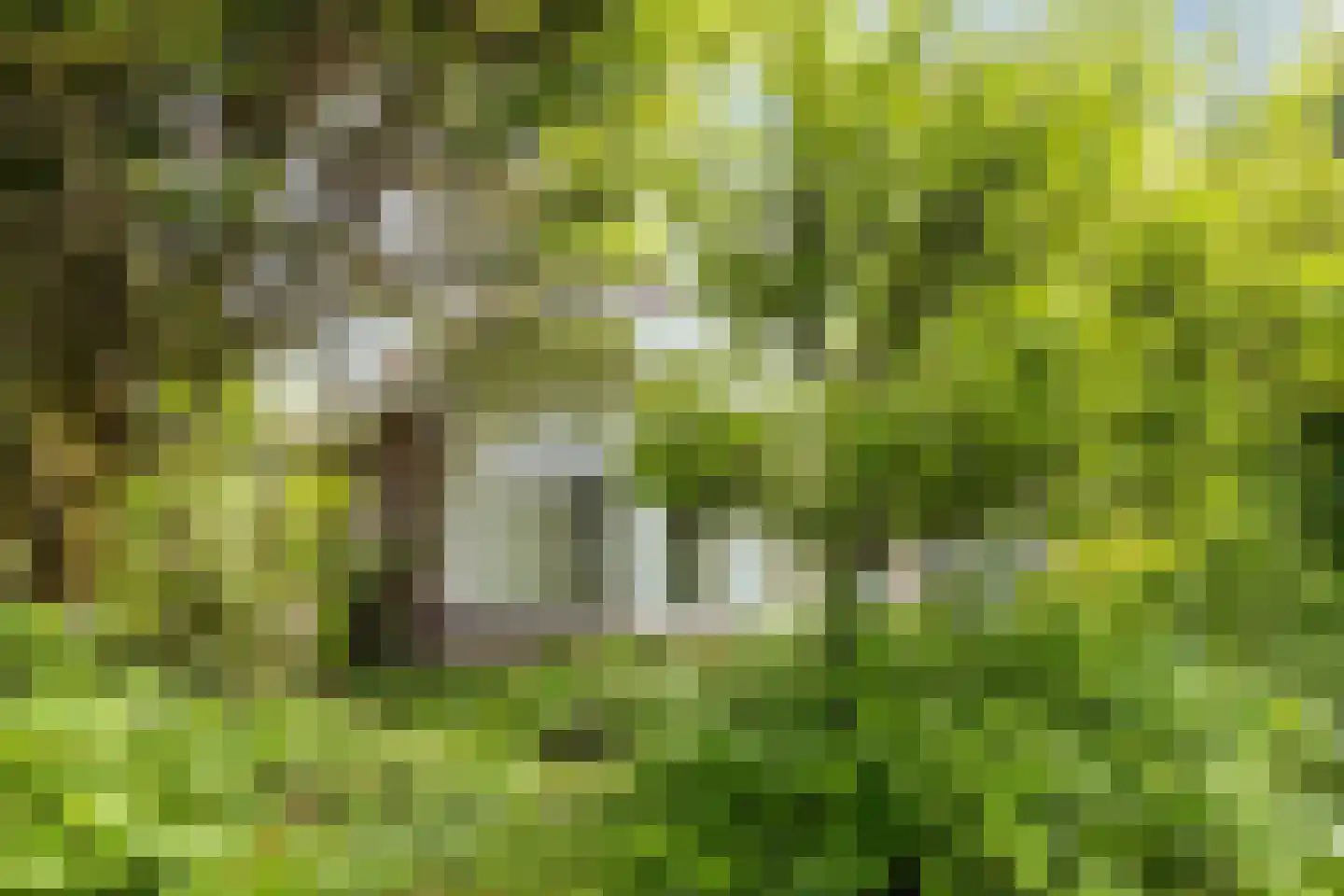 Dooitzen de Bildtstraat 7 St.-Jacobiparochie thumbnail 36
